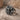 Crossed Axes Viking Skull Ring