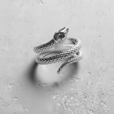 Polished sterling silver snake ring with a detailed coiled body and serpent head shown on a light textured background.