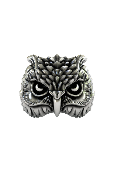 Silver Wisdom Owl Ring