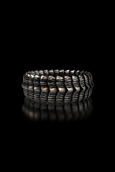 Dragon Scale Ring - Sarnion