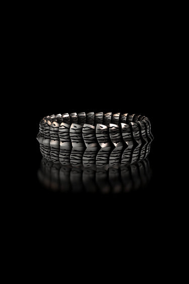 Dragon Scale Ring - Sarnion