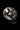 Forest Moon Wolf Cufflink