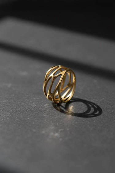Silver Parametric Ring