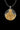Front view of the gold and silver Saint Mark medallion on a sterling silver chain, isolated on a black background.