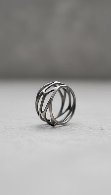 Silver Parametric Ring