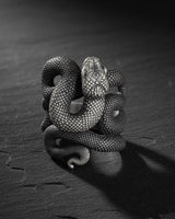 Front view of a coiled silver snake ring, featuring an oxidized finish that accentuates the detailed scales and serpent head.