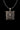 Scroll Frame Lion Pendant