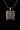 Scroll Frame Lion Pendant