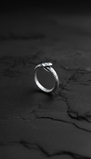 Silver Ouroboros Ring