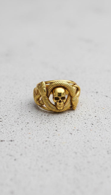 Front view of gold vermeil snake skull ring featuring double headed serpent wrapping around a skull on grey background