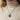 Woman wearing oxidized silver mushroom locket necklace over cream sweater for a cozy cottagecore aesthetic