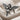 Praying Cherub Ring, oxidized silver, angled front view on fabric