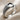 Ribbed Talon Loop Ring, studio product photo in oxidized silver
