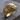 Lioness Head Ring, gold vermeil, product photo on wood surface