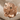 Snarling Panther Ring, rose gold, three-quarter view on fabric
