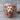 Roaring Lion Shield Ring, rose gold plated silver, angled studio product photo