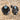 March Aquamarine Ripple Stud Earring, black rhodium, front view