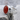 Carnelian Fleur de Lis Ring, polished silver, angled product view on stone