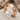 Hieroglyph cuff earring in rose gold plated silver on sand