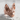 Hairless Sphynx Cat Ring, rose gold, front view on textured stone