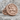 Two Knights Templar Ring, rose gold, product photo on stone