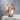 Egyptian Hieroglyph Ring, rose gold, product photo on stone