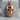 Bearded Skull Pendant, rose gold plated, product photo
