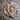 Spotted woodpecker pendant, rose gold finish, product photo