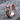 Embracing Couple Ring, rose gold, front view of sculpted couple band