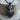 Tusked Wild Boar Pendant, black rhodium plated, front view on wood base