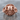 Gothic Scroll Skull Ring, rose gold, front view on stone surface