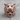 Tiger Hunter Skull Ring, rose gold plated, front view on wood surface