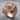 Snarling Wolf Signet Ring, rose gold plated, angled studio product photo