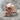Anatomical cracked skull ring, rose gold finish, three-quarter view on rock