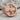 Scorpio Zodiac Signet Ring, rose gold plated, front product photo