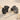 Ginkgo Folded Leaf Earring, black rhodium, studio product photo