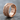 Fern Frond Spinner Ring, rose gold product photo