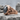 Hematite Tortoise Scute Ring in rose gold plated finish
