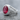 Ruby Lion Scroll Ring, polished silver finish, angled view
