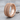 Biomechanical Spine Ring, rose gold, product photo on wood surface