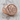 82nd Airborne Division Ring, rose gold, angled product photo on wood