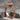 Horned Ouroboros Dragon Ring, rose gold, angled product photo on stone