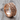 Ossuary Band Ring, rose gold, product photo on wood surface