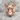 Wild Boar Head Ring, rose gold plated silver, product photo