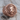 Scrollwork Lion Signet Ring, rose gold plated, front view on wood surface