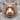 Tiger Face Ring, rose gold, front view on rock surface