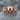 Baroque Floral Skull Ring, rose gold, front view on stone