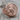 Pegasus Signet Ring, rose gold, front view on wood