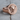 Medusa Skull Signet Ring, rose gold, angled product photo on wood