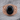 Jormungandr Onyx Shoulder Ring, rose gold, studio photo